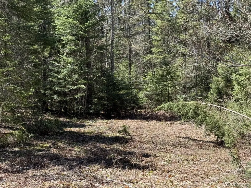 9718 W Black River Road Hudson Township MI 49762