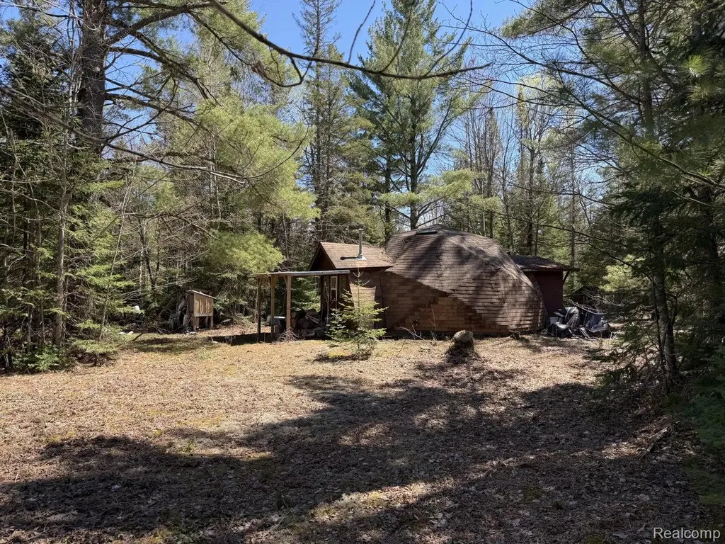 9718 W Black River Road Hudson Township MI 49762
