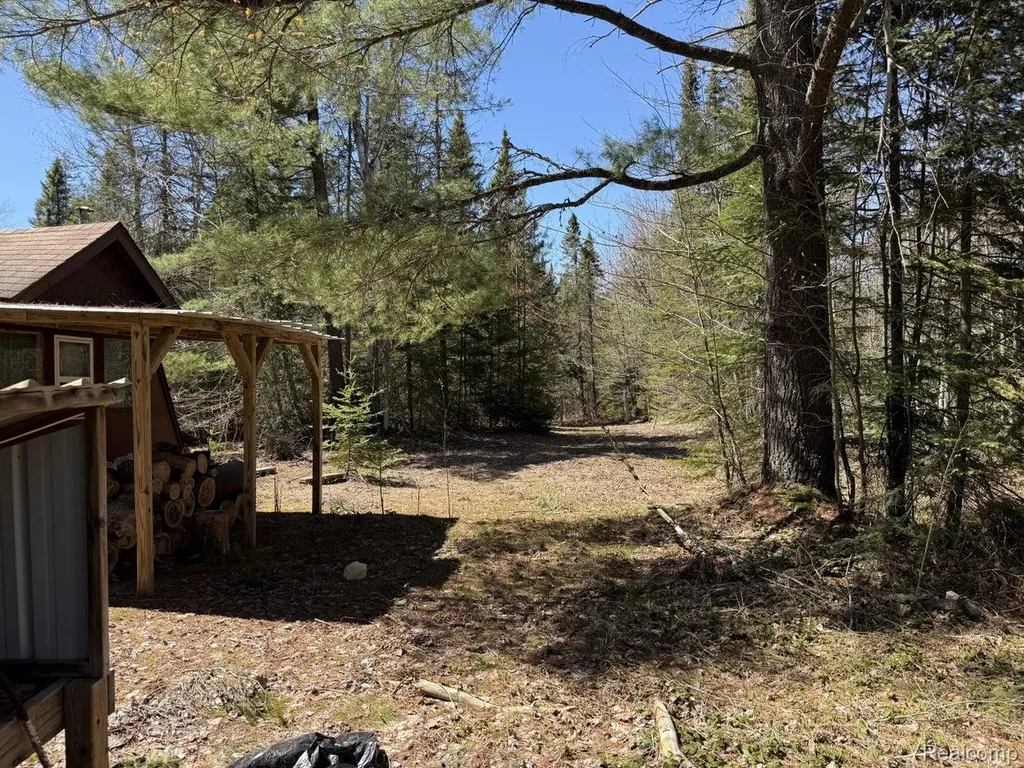 9718 W Black River Road Hudson Township MI 49762