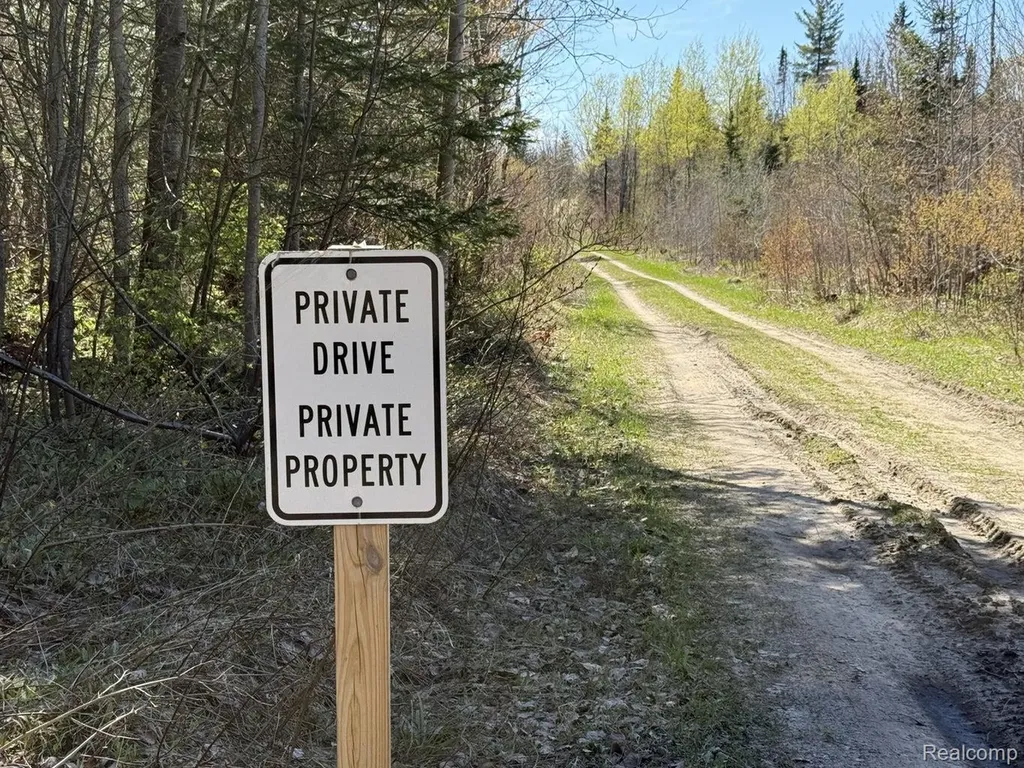 9718 W Black River Road Hudson Township MI 49762