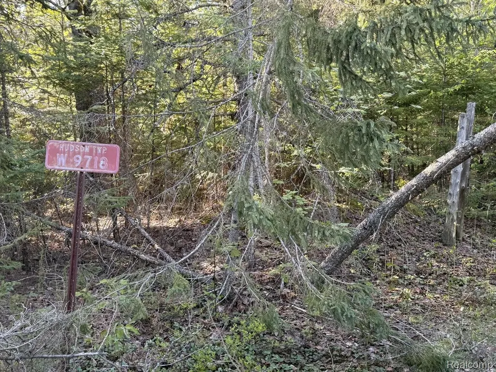 9718 W Black River Road Hudson Township MI 49762