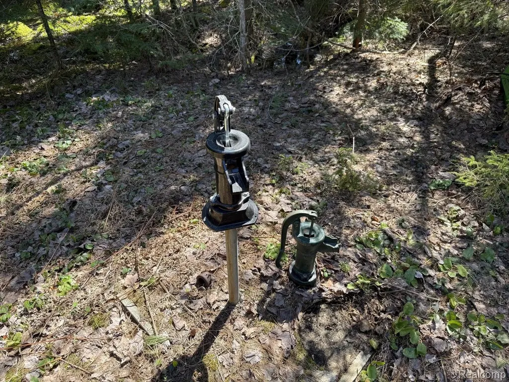 9718 W Black River Road Hudson Township MI 49762