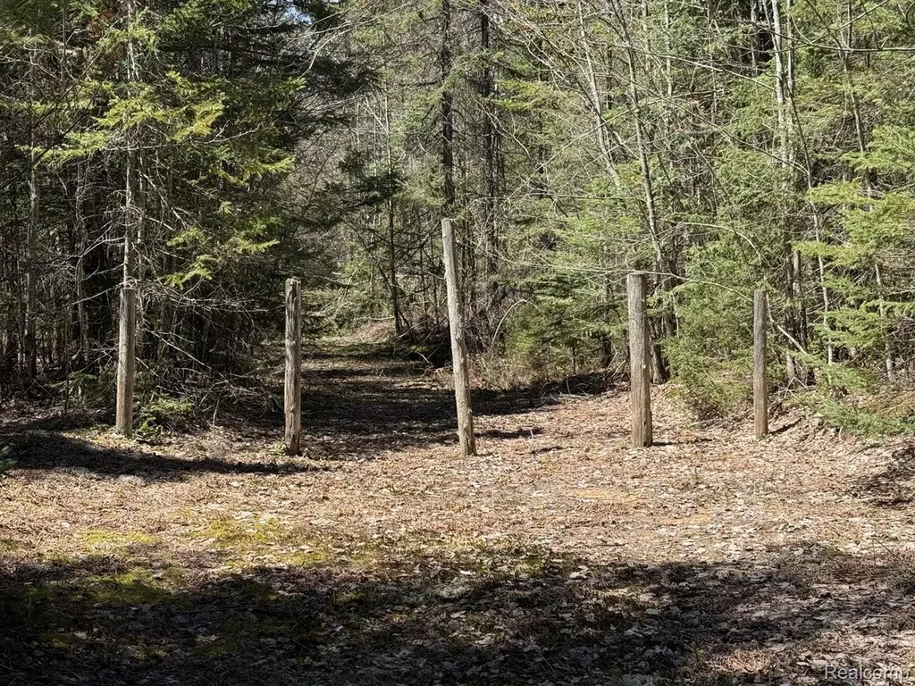 9718 W Black River Road Hudson Township MI 49762