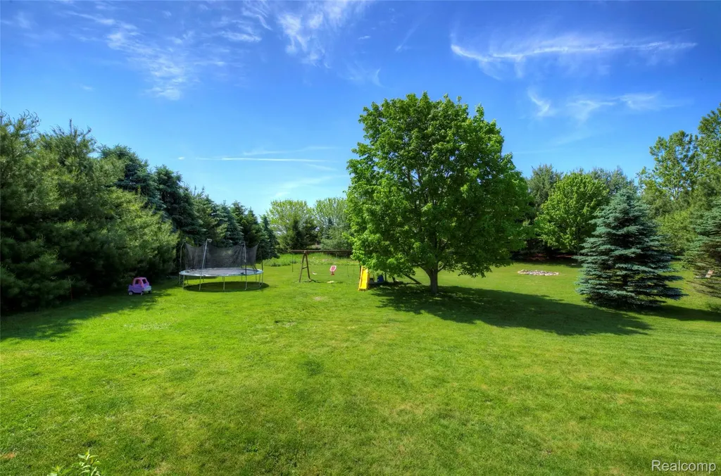 9191 Judd Road Handy Township MI 48836