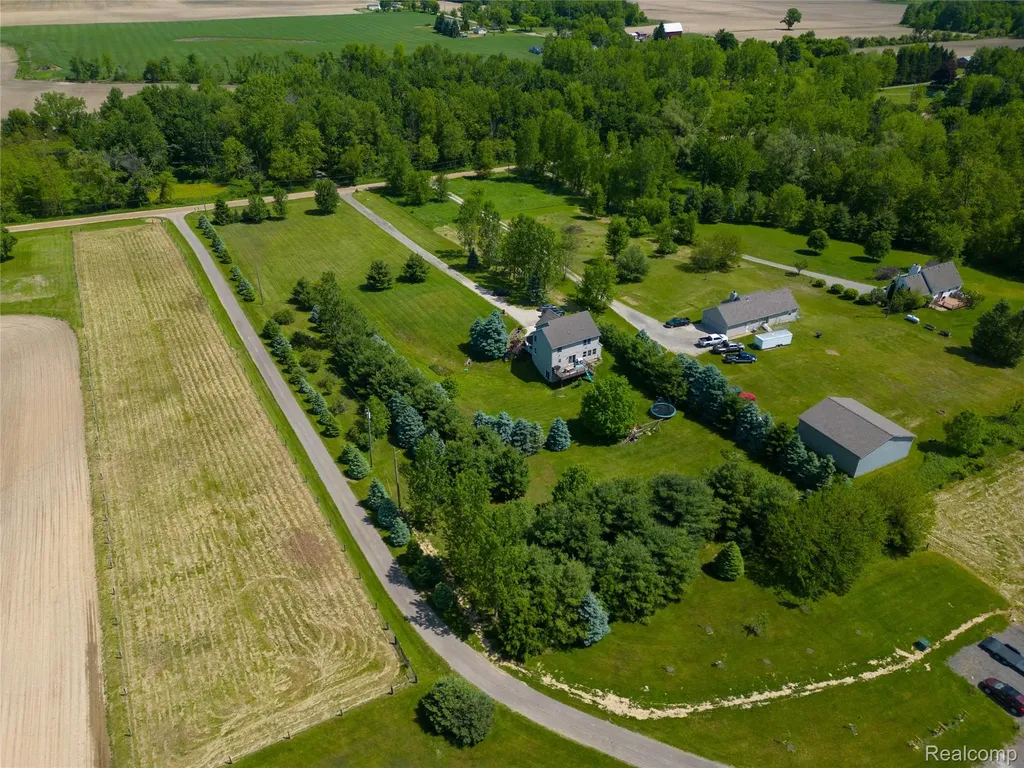9191 Judd Road Handy Township MI 48836