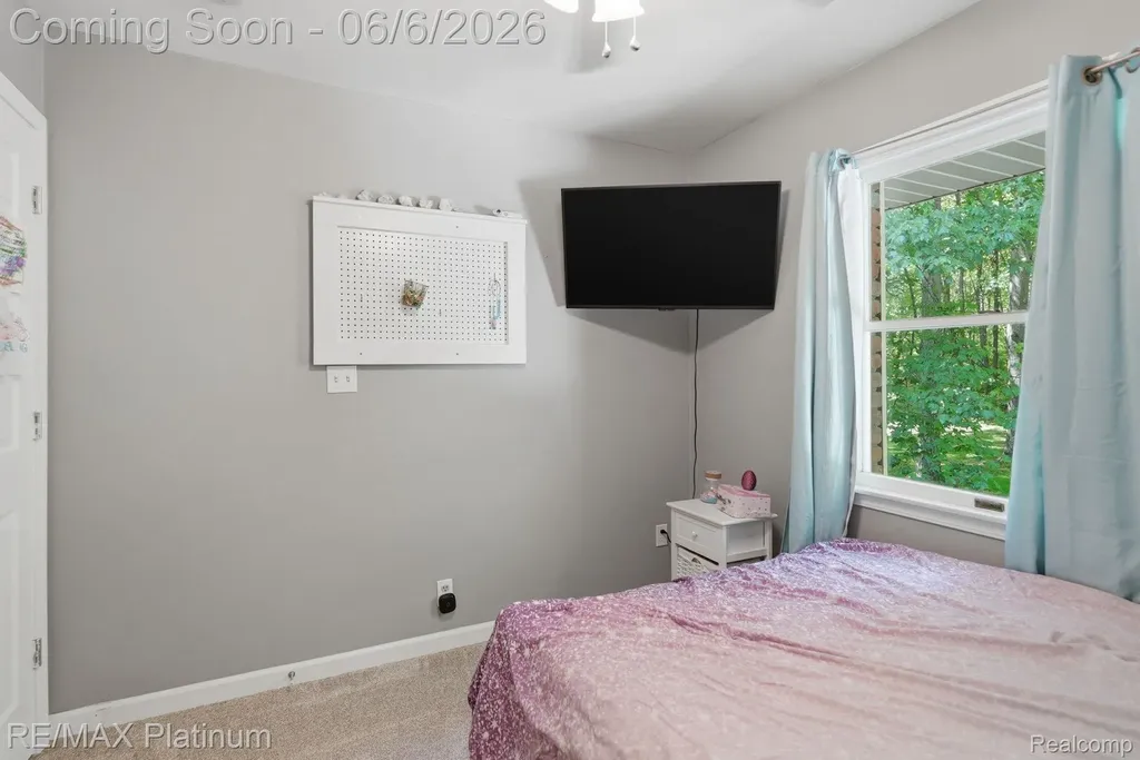 1539 Clark Lake Road Brighton Township MI 48114