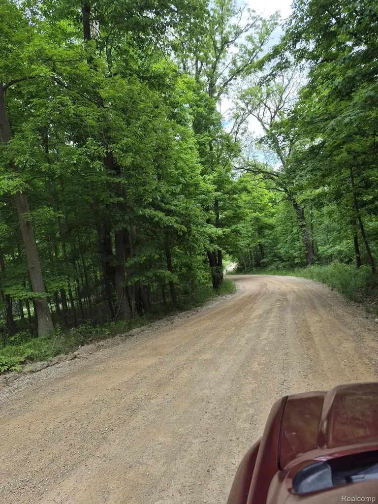 18073 Sharon Valley Road Sharon Township MI 48158
