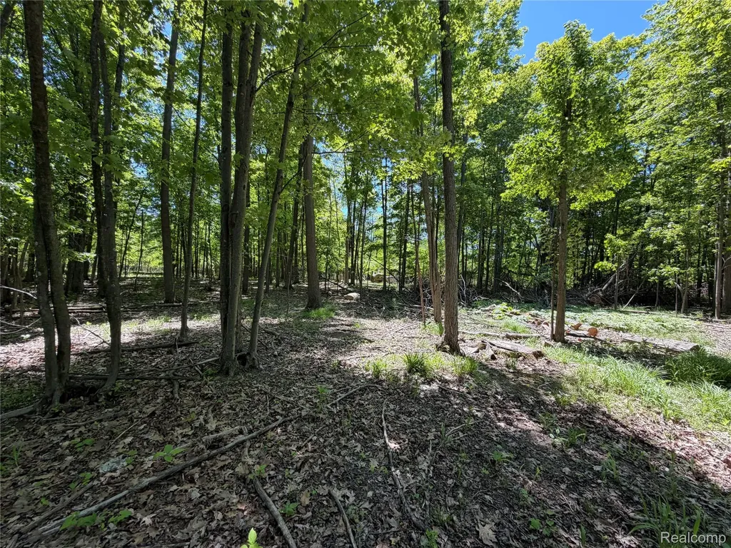 00 Dudley Lynn Township MI 48416