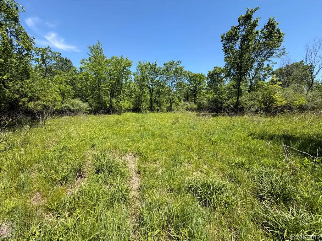 00 Dudley Lynn Township MI 48416
