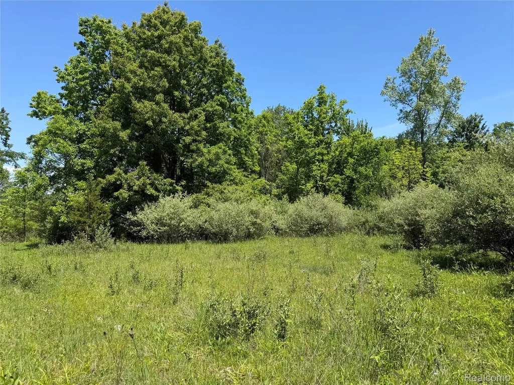 00 Dudley Lynn Township MI 48416