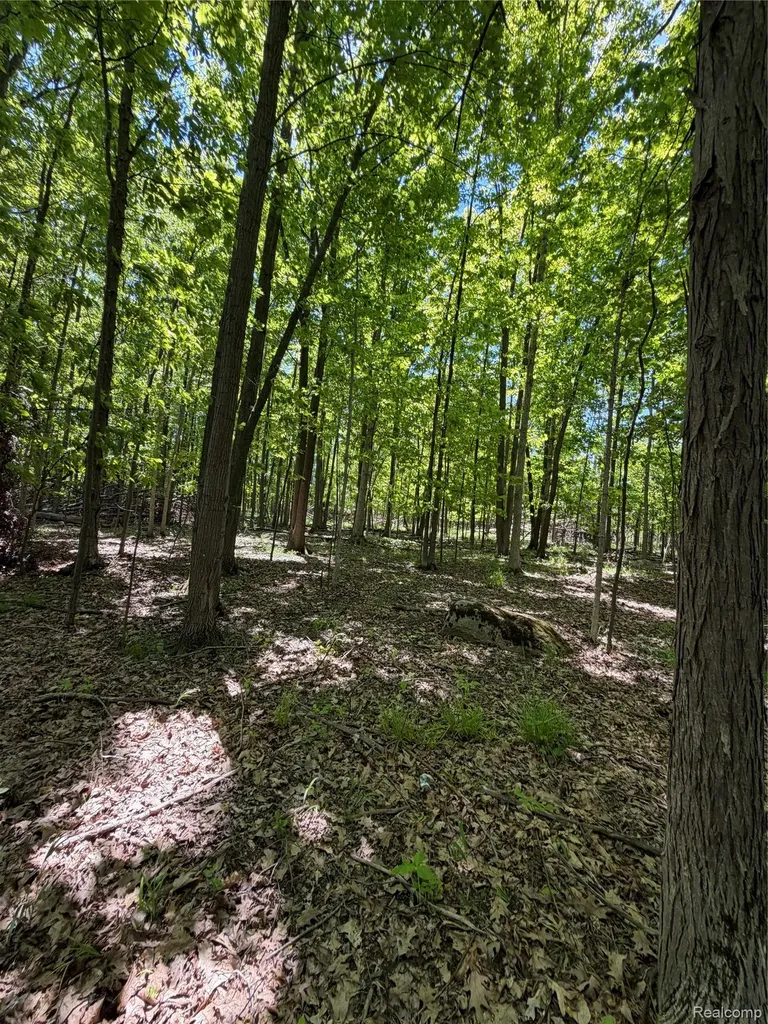 00 Dudley Lynn Township MI 48416