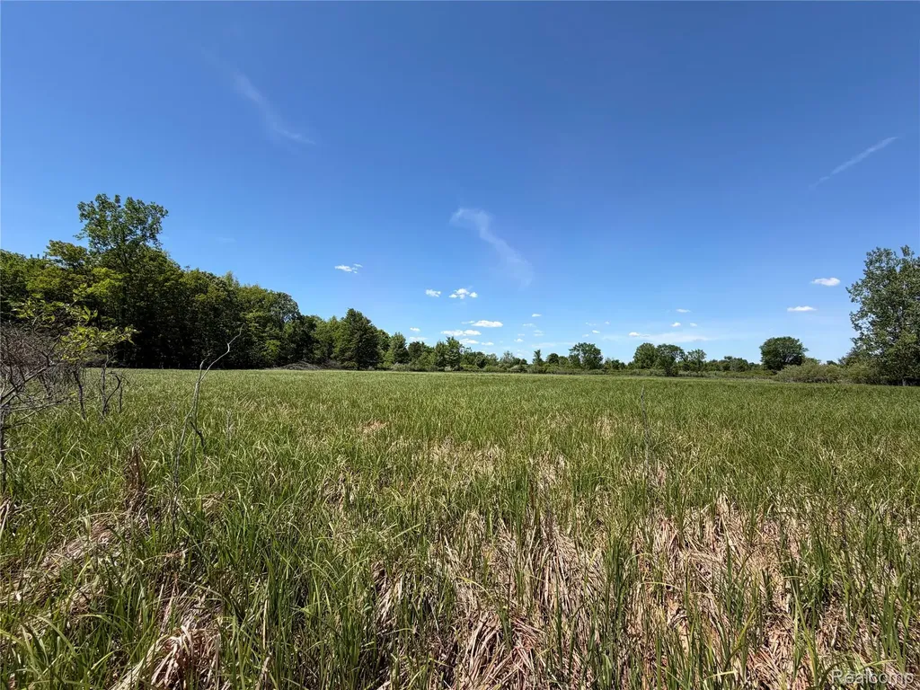00 Dudley Lynn Township MI 48416