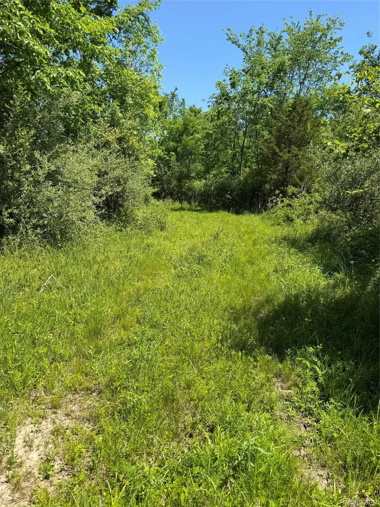 00 Dudley Lynn Township MI 48416