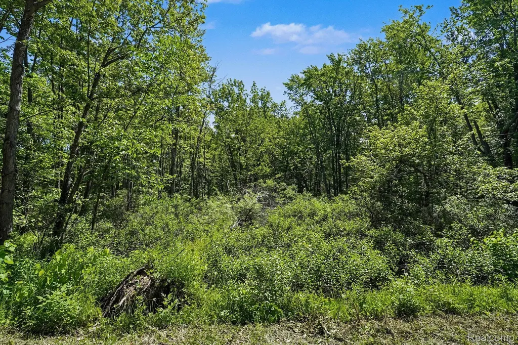 1948 Mayfield Road Mayfield Township MI 48446