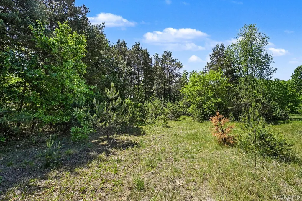 1948 Mayfield Road Mayfield Township MI 48446