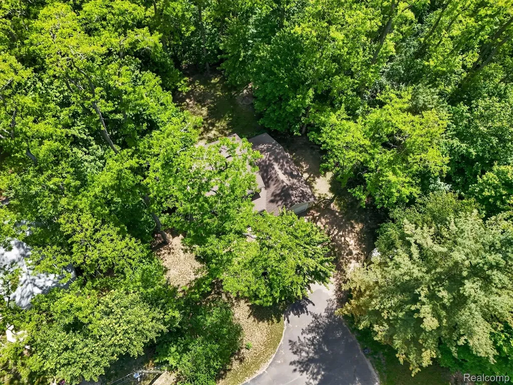 15129 Locust Grove Drive Argentine Township MI 48418