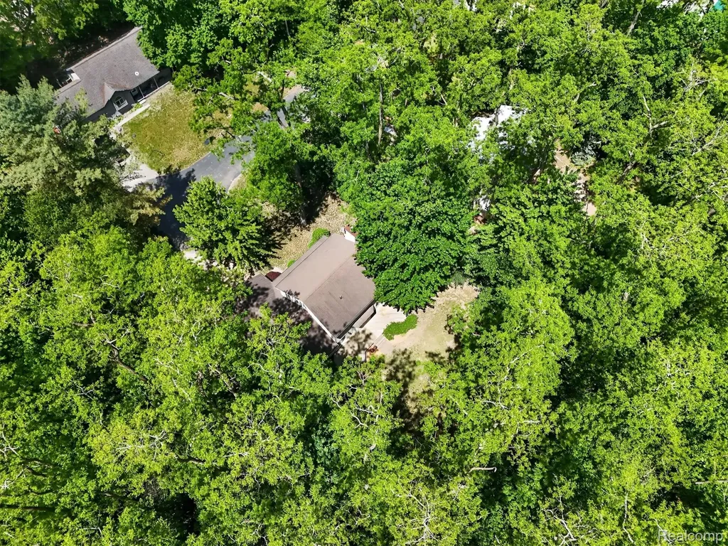 15129 Locust Grove Drive Argentine Township MI 48418