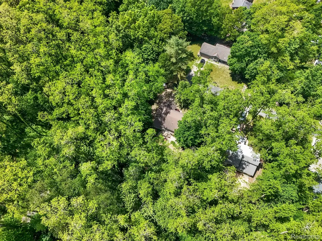 15129 Locust Grove Drive Argentine Township MI 48418