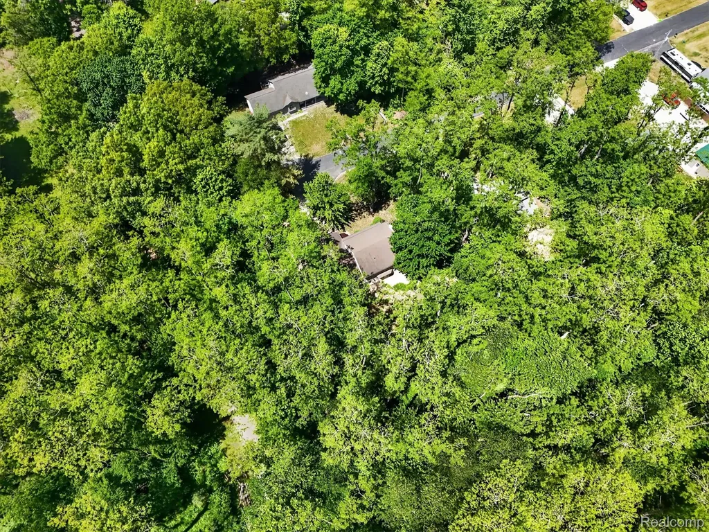 15129 Locust Grove Drive Argentine Township MI 48418