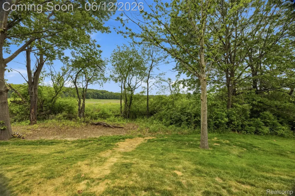 3775 Druid Drive Brighton Township MI 48114