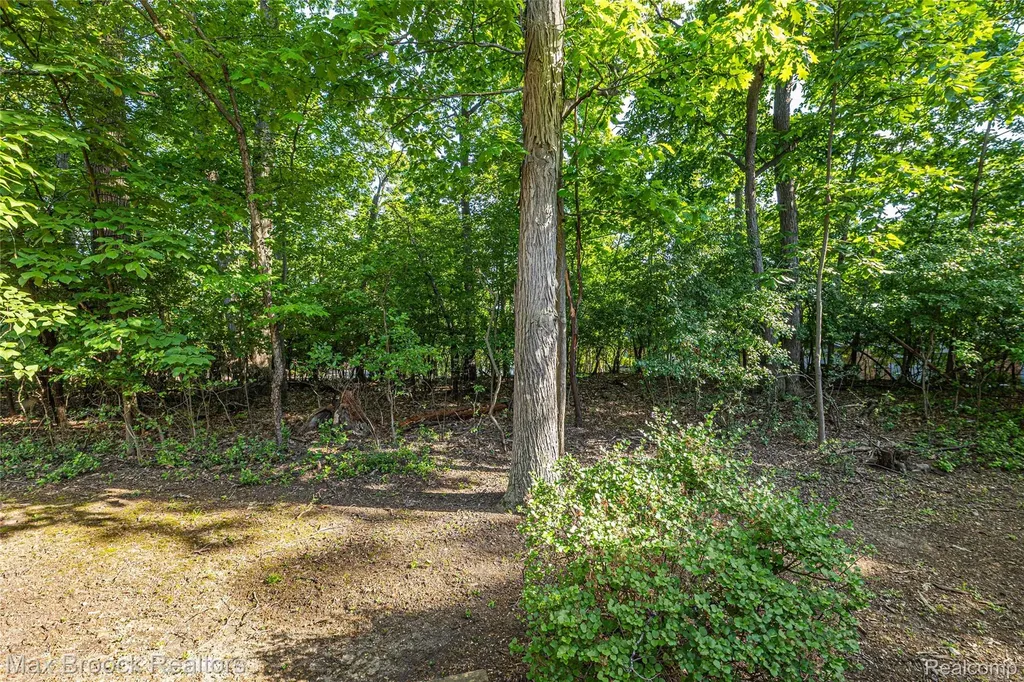 3685 Quail Hollow Drive Bloomfield Hills City MI 48302