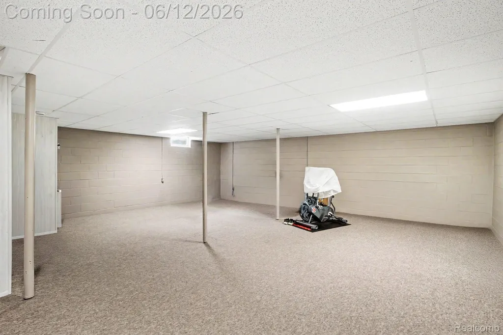 10186 Converse Road Handy Township MI 48836