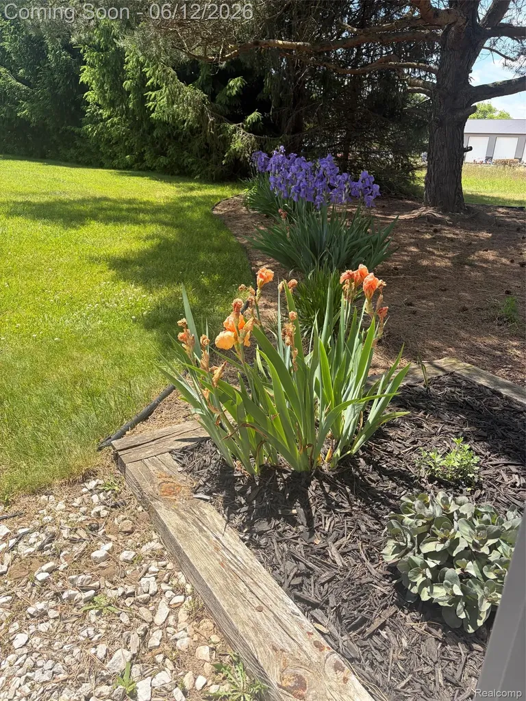 10186 Converse Road Handy Township MI 48836