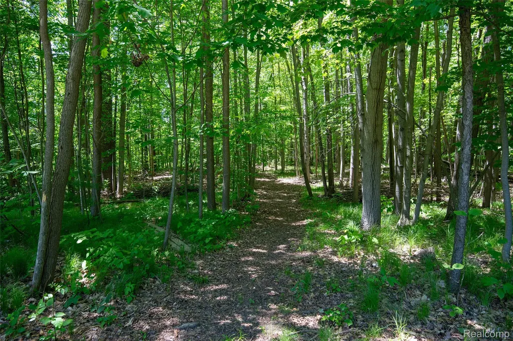 3957 Mill Lake Road Orion Charter Township MI 48360