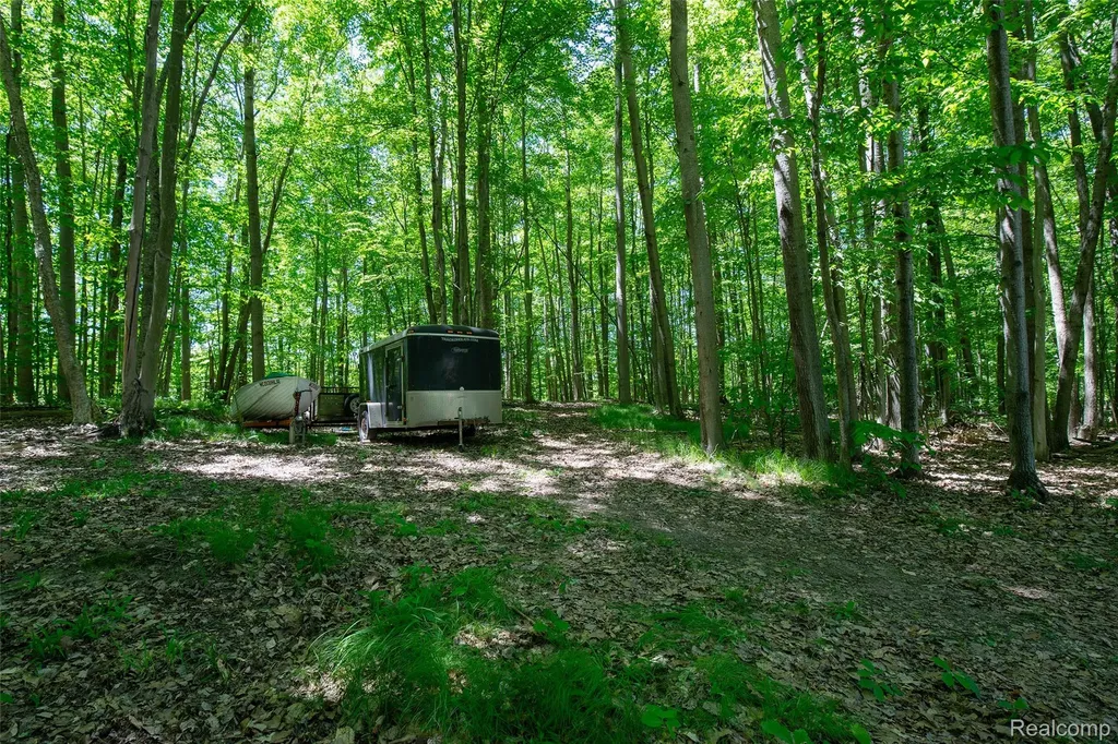 3957 Mill Lake Road Orion Charter Township MI 48360