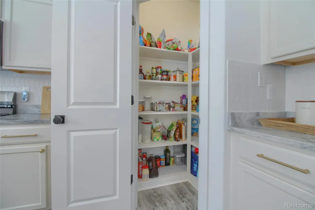 30932 Asbury Hill Drive Lyon Charter Township MI 48165