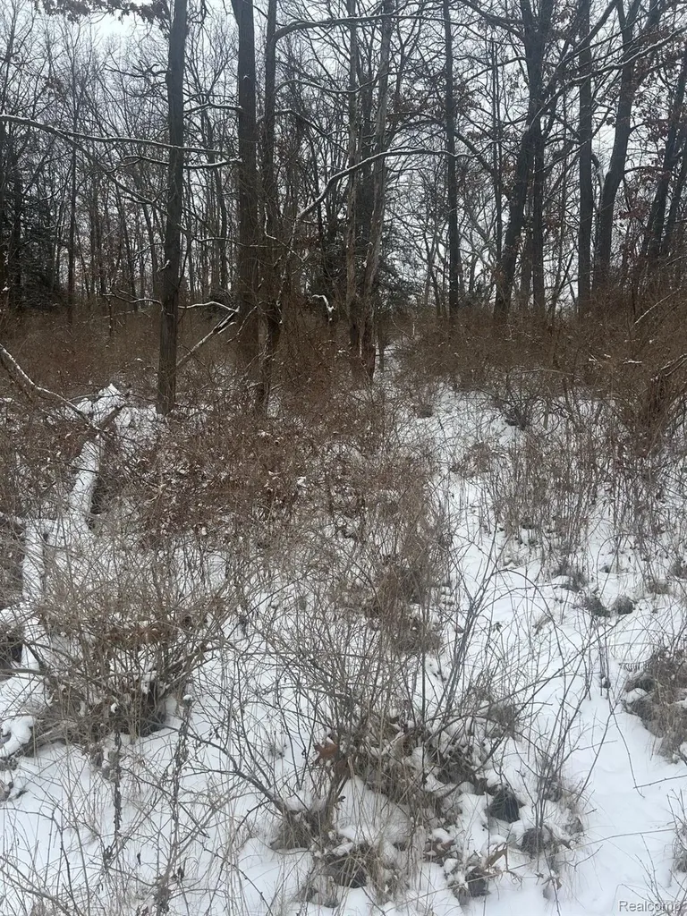 12840 Larkins Road Brighton Township MI 48114