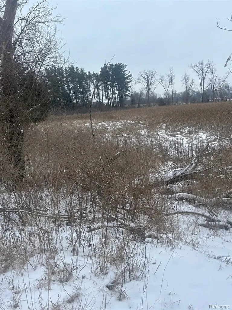 12840 Larkins Road Brighton Township MI 48114