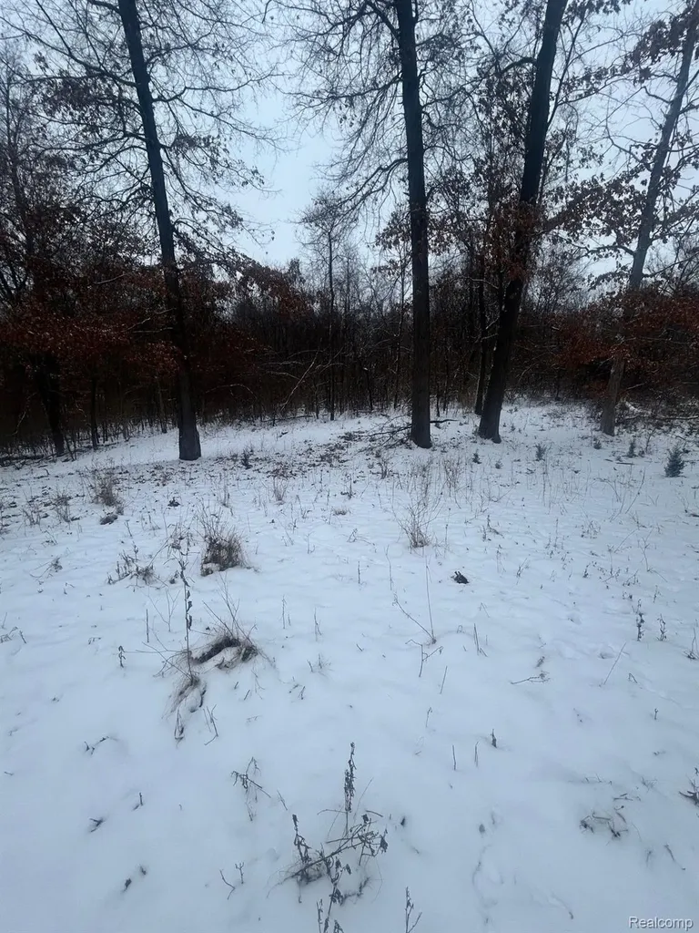 12840 Larkins Road Brighton Township MI 48114