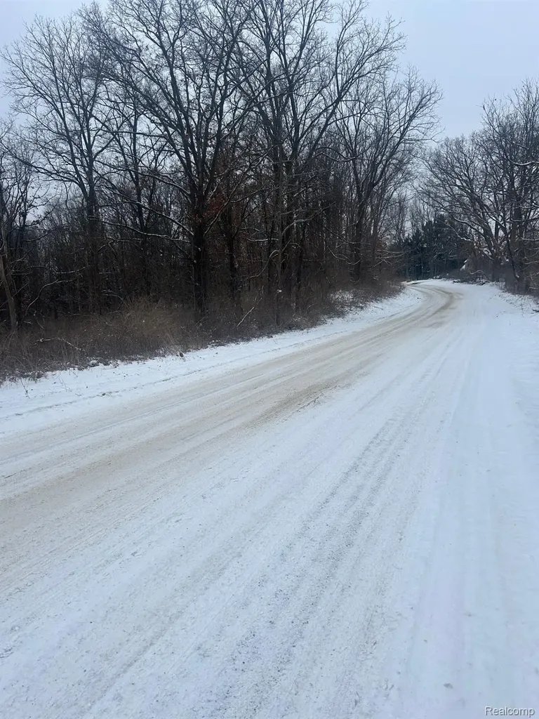 12840 Larkins Road Brighton Township MI 48114