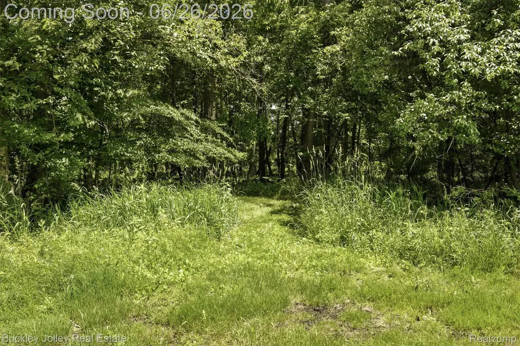 6132 Lange Road Iosco Township MI 48843