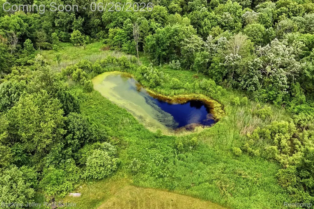 6132 Lange Road Iosco Township MI 48843