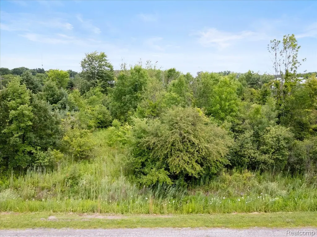 0000 Yeager Port Huron Charter Township MI 48060