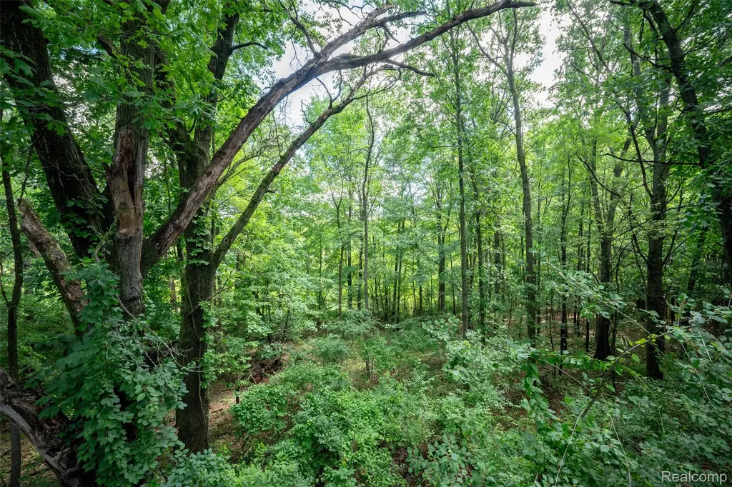 4277 Tux Lane Brighton Township MI 48380