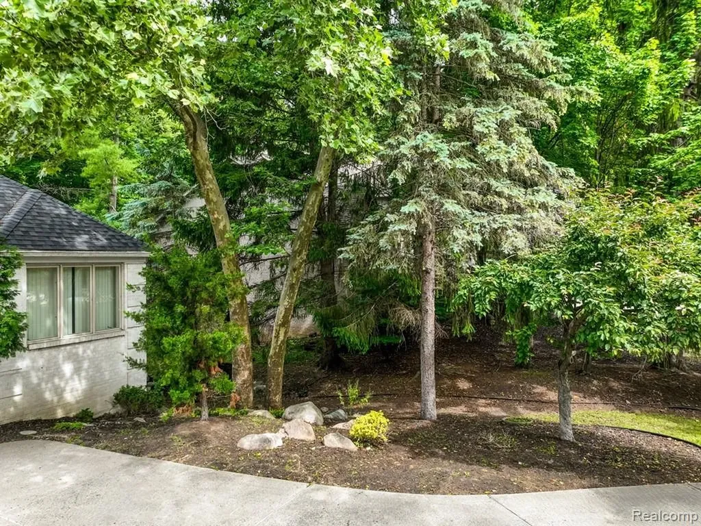 43564 Scenic Lane Novi City MI 48167