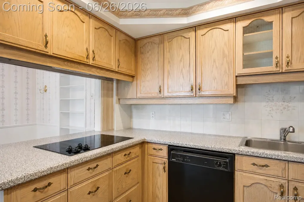 11606 Meadow Lane Drive Macomb Township MI 48093