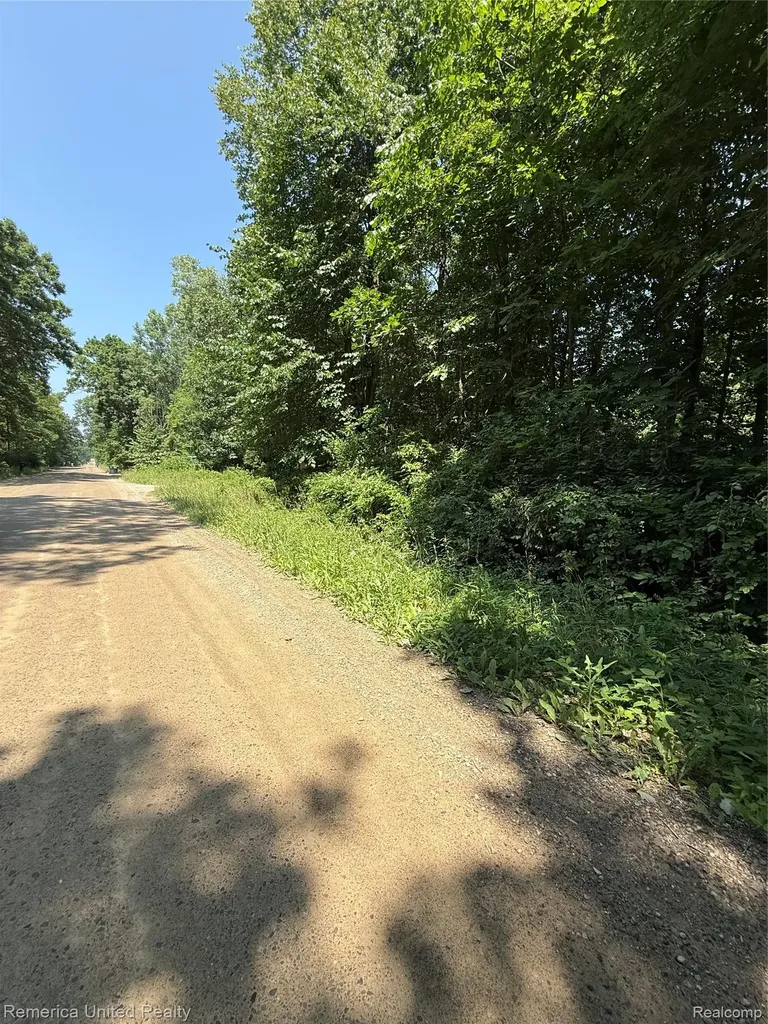 5550 Fisher Road Oceola Township MI 48855