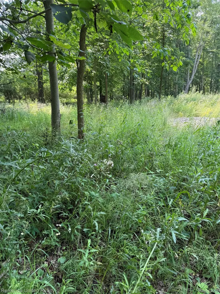 5550 Fisher Road Oceola Township MI 48855