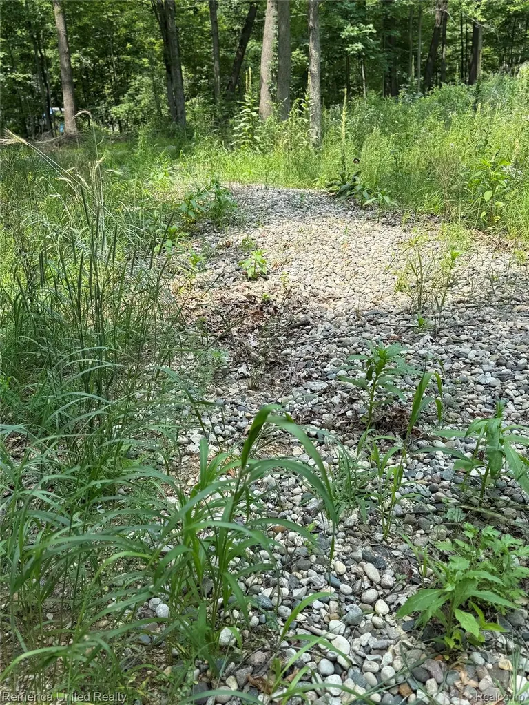5550 Fisher Road Oceola Township MI 48855