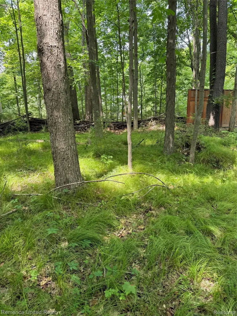 5550 Fisher Road Oceola Township MI 48855