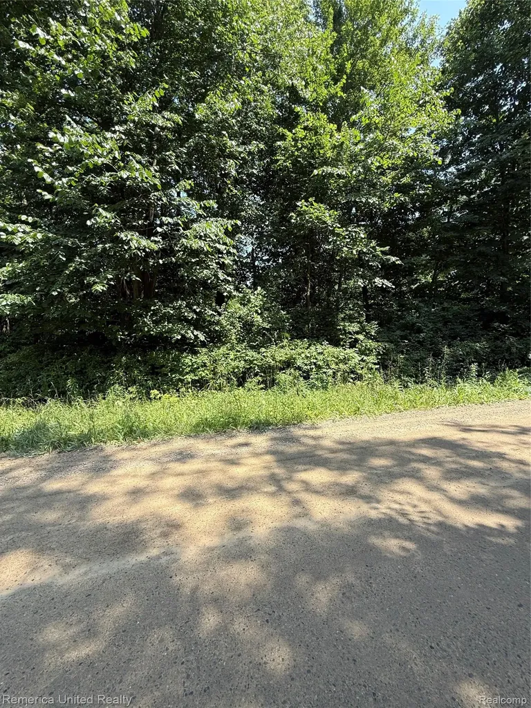 5550 Fisher Road Oceola Township MI 48855