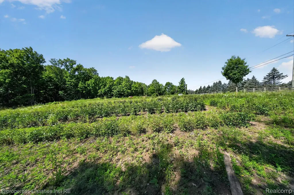 0000 Plymouth Road Superior Charter Township MI 48170