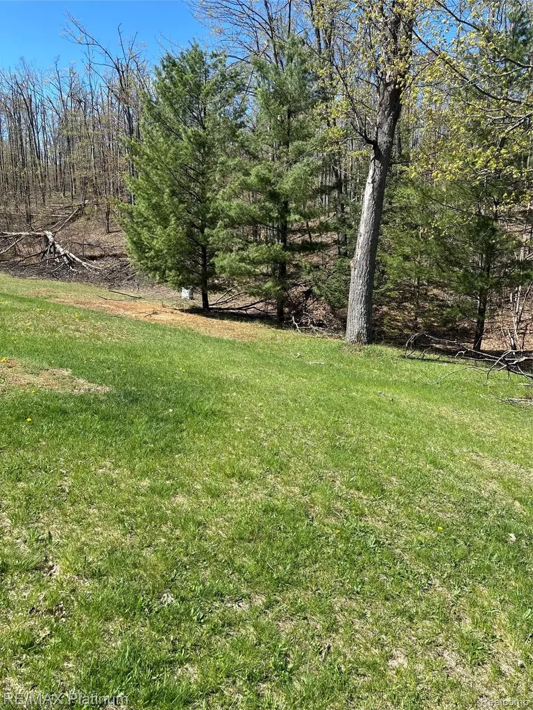4125 Hubbard Lake Trail Caledonia Township MI 49747