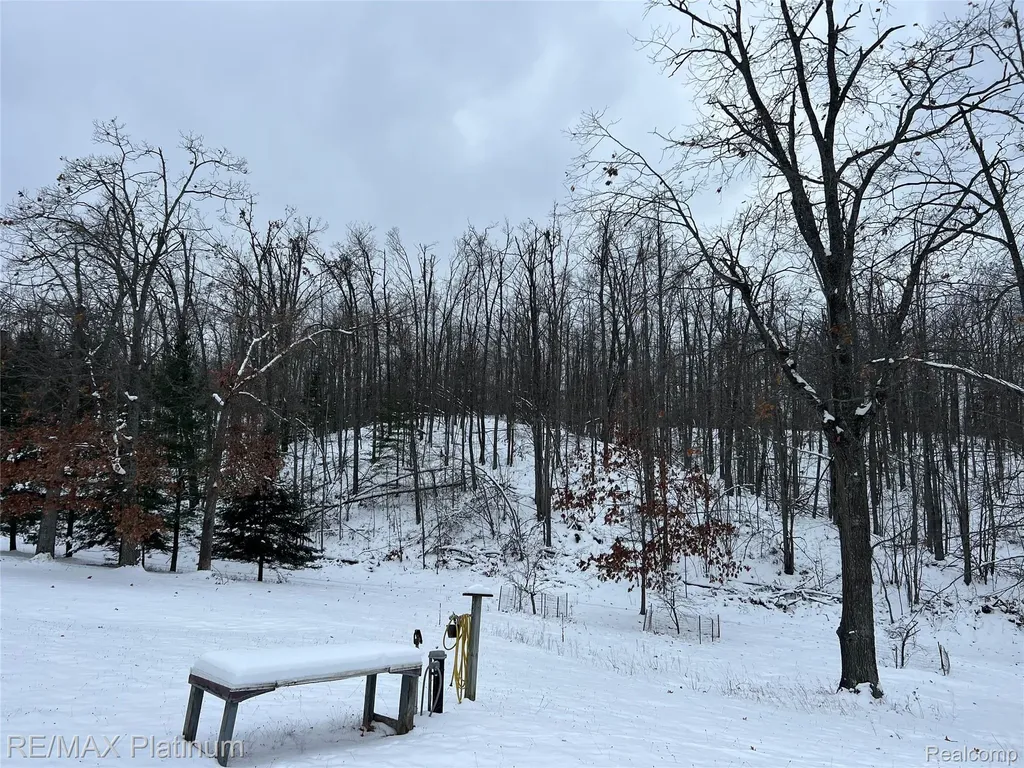 4125 Hubbard Lake Trail Caledonia Township MI 49747