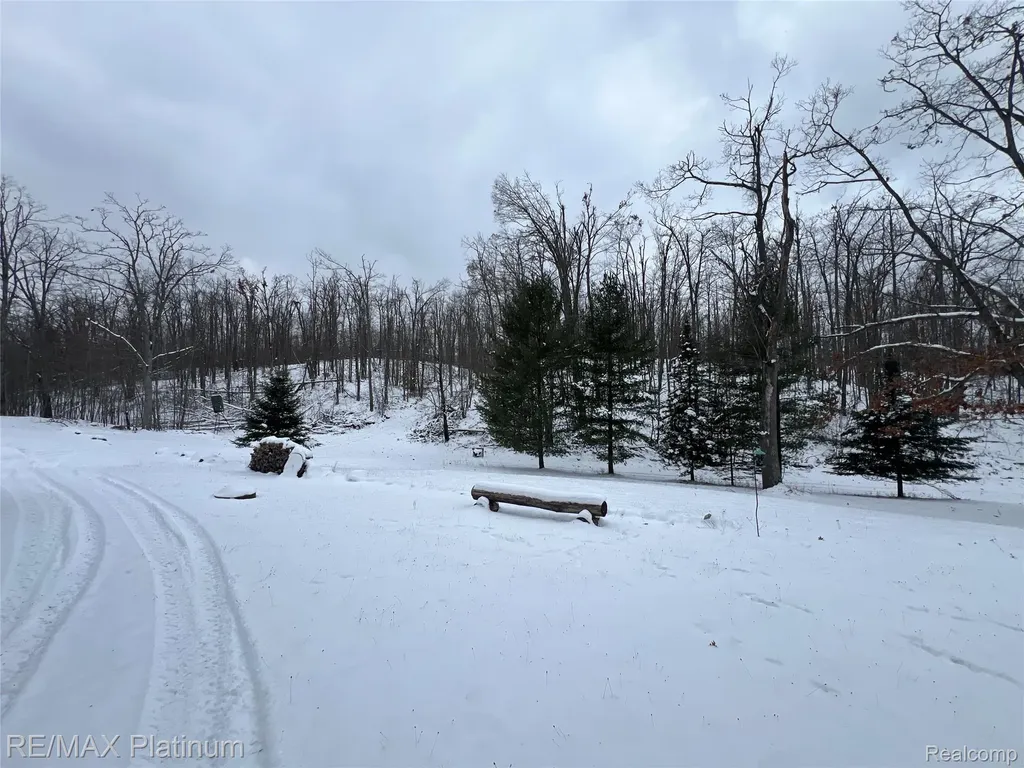 4125 Hubbard Lake Trail Caledonia Township MI 49747