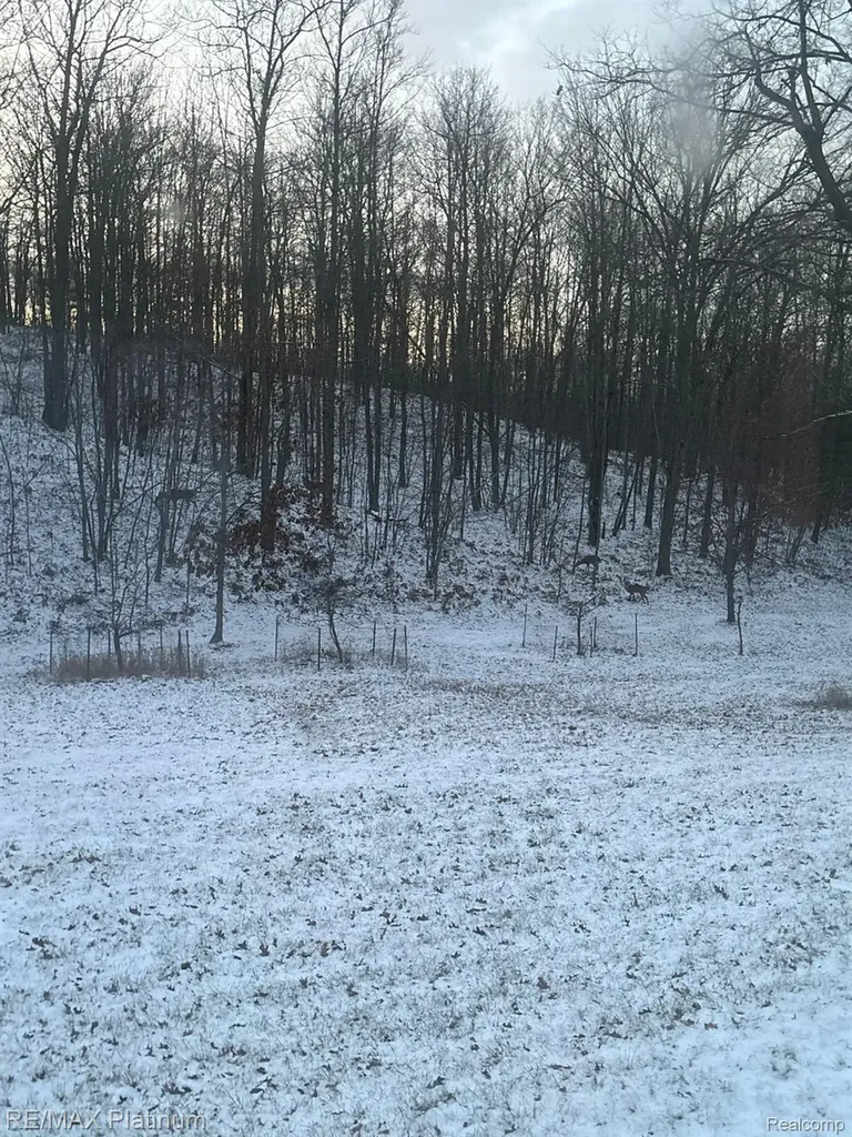 4125 Hubbard Lake Trail Caledonia Township MI 49747
